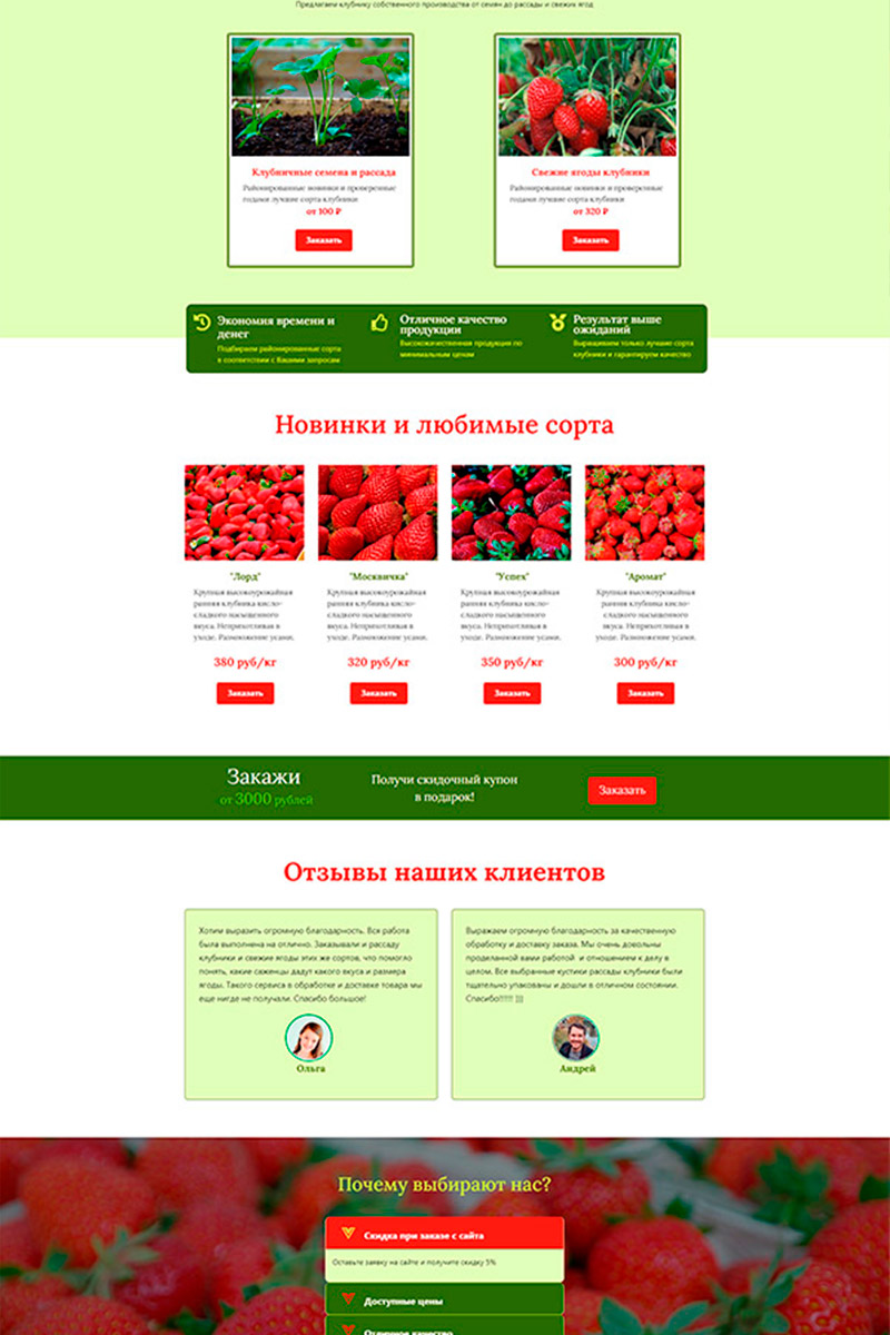 Готовый сайт рассада и семена создать на конструкторе или заказать под ключ