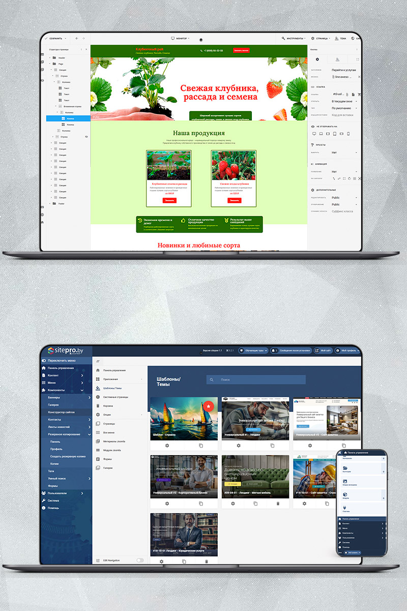 Готовый сайт рассада и семена создать на конструкторе или заказать под ключ