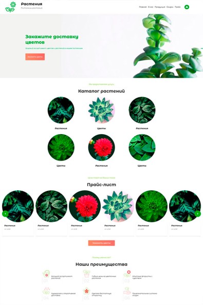 Сайт комнатные растения