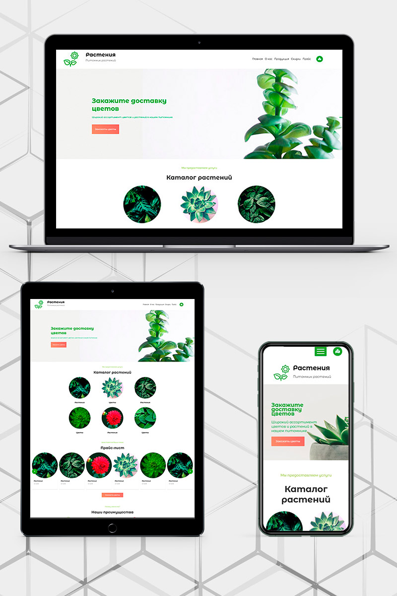 Готовый сайт комнатные растения создать на конструкторе или заказать под ключ