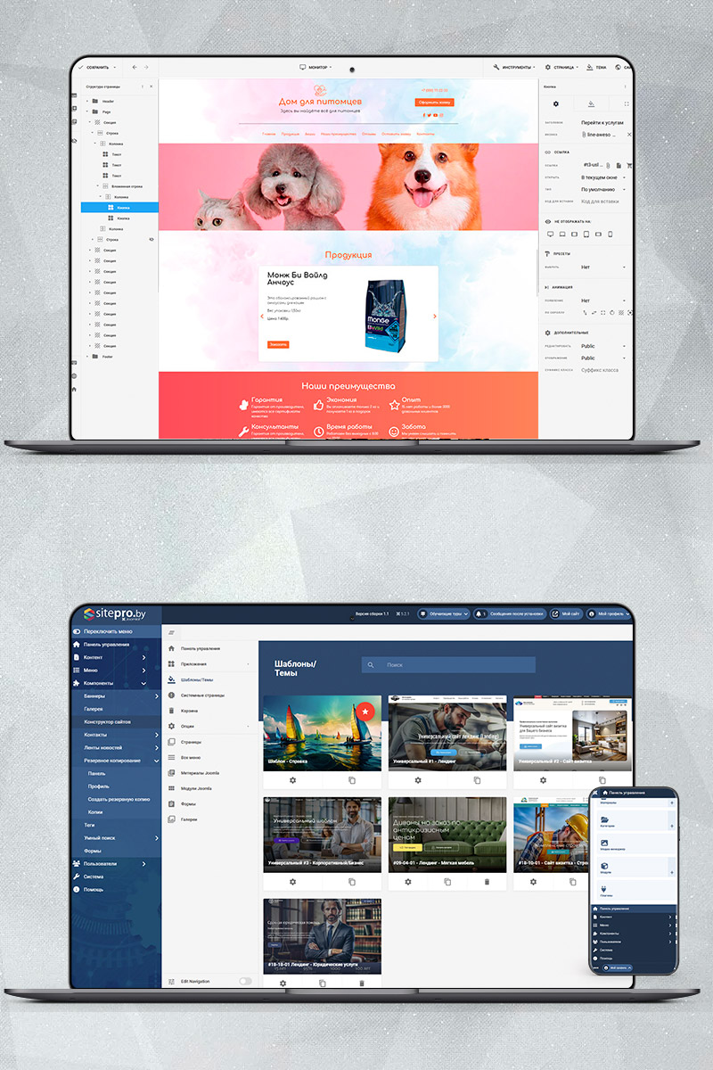 Готовый сайт зоотовары создать на конструкторе или заказать под ключ