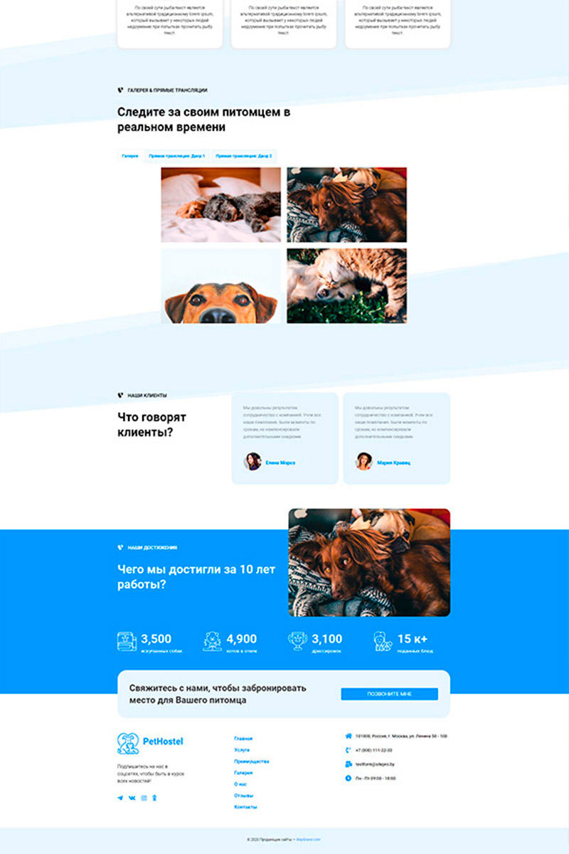 Готовый сайт гостиница для домашних животных создать на конструкторе или заказать под ключ