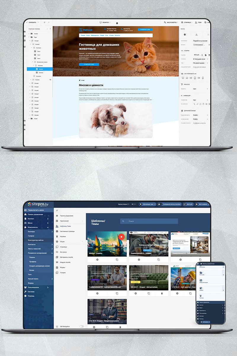 Готовый сайт гостиница для домашних животных создать на конструкторе или заказать под ключ