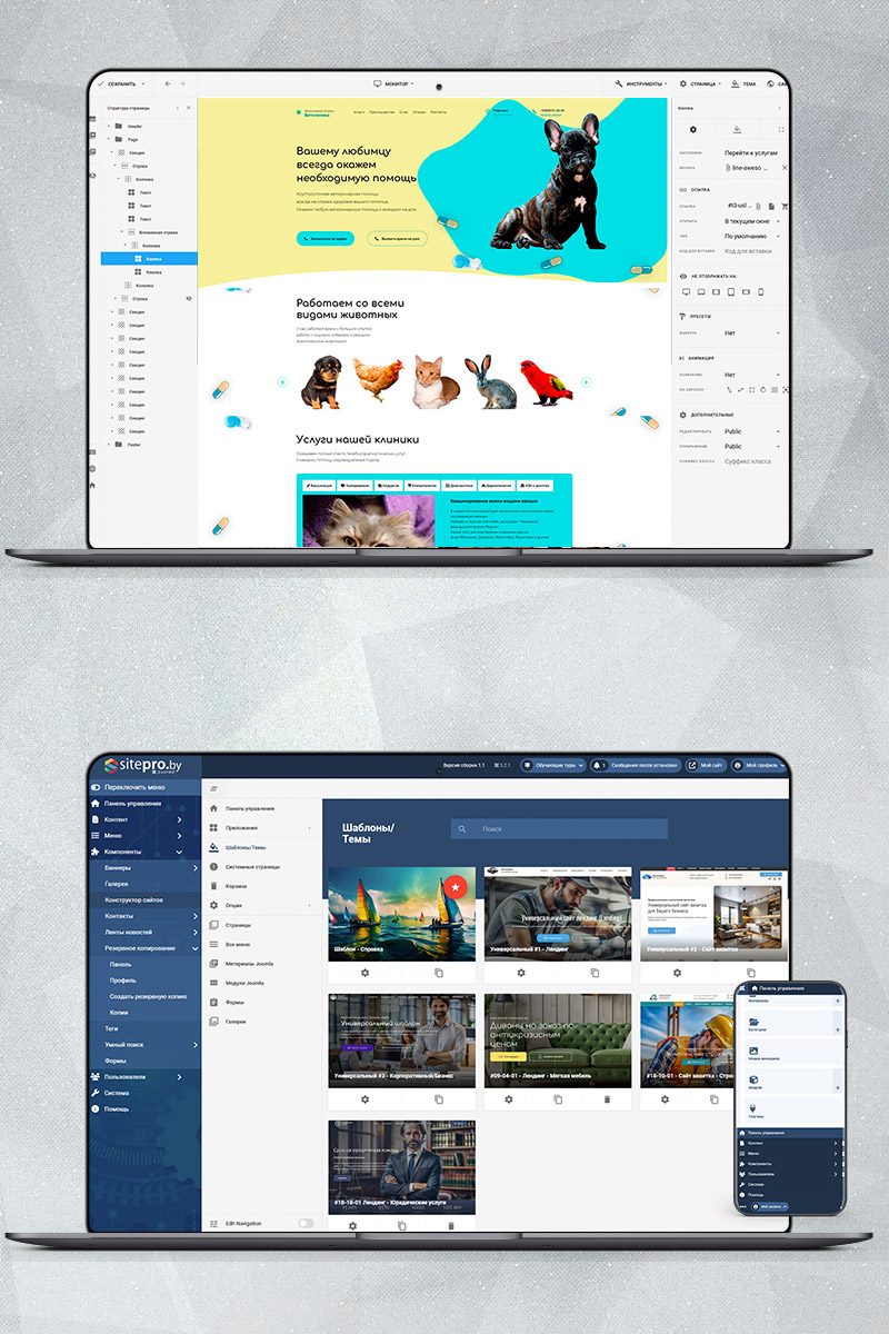 Готовый сайт ветеринар создать на конструкторе или заказать под ключ