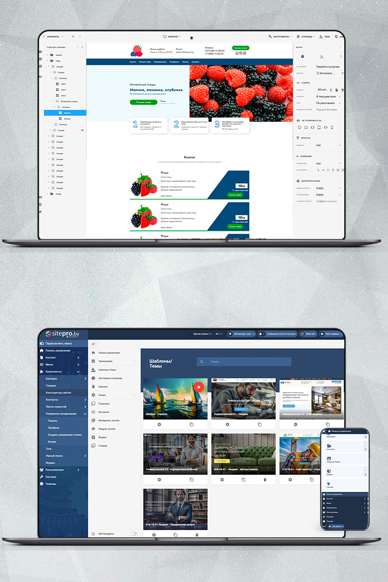Готовый сайт аппетитные ягоды создать на конструкторе или заказать под ключ