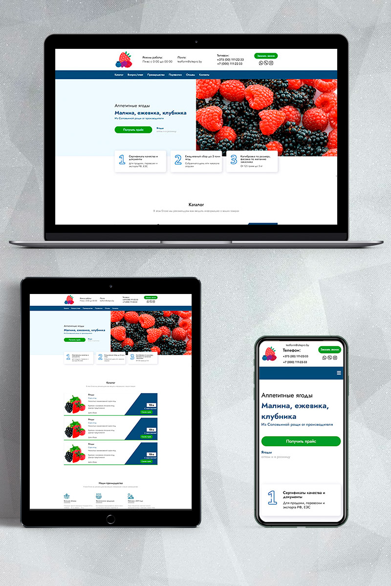 Готовый сайт аппетитные ягоды создать на конструкторе или заказать под ключ