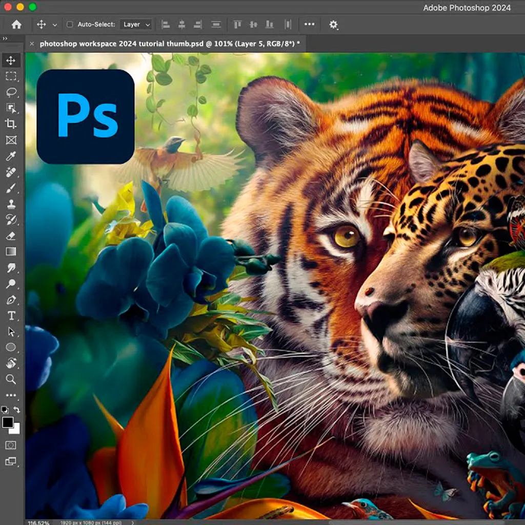 Что лучше, Canva или Photoshop?