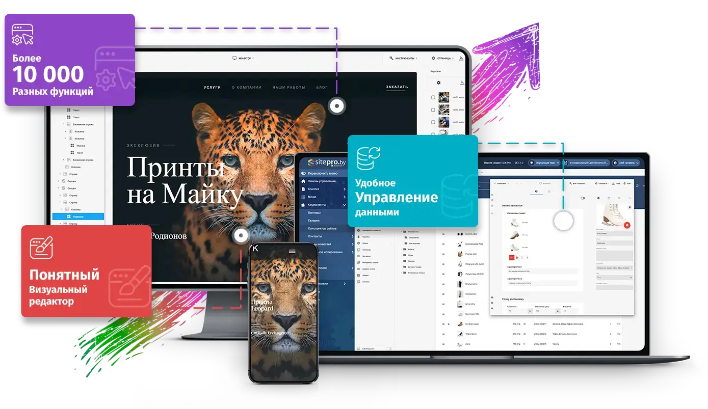 Разработка и создание сайтов в Гомеле