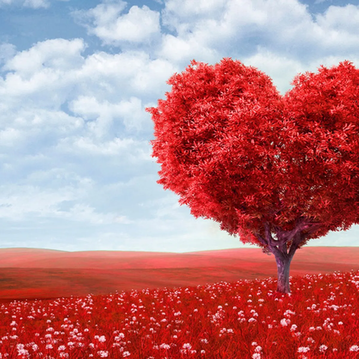 Всем Скидка 20% к Дню Святого Валентина